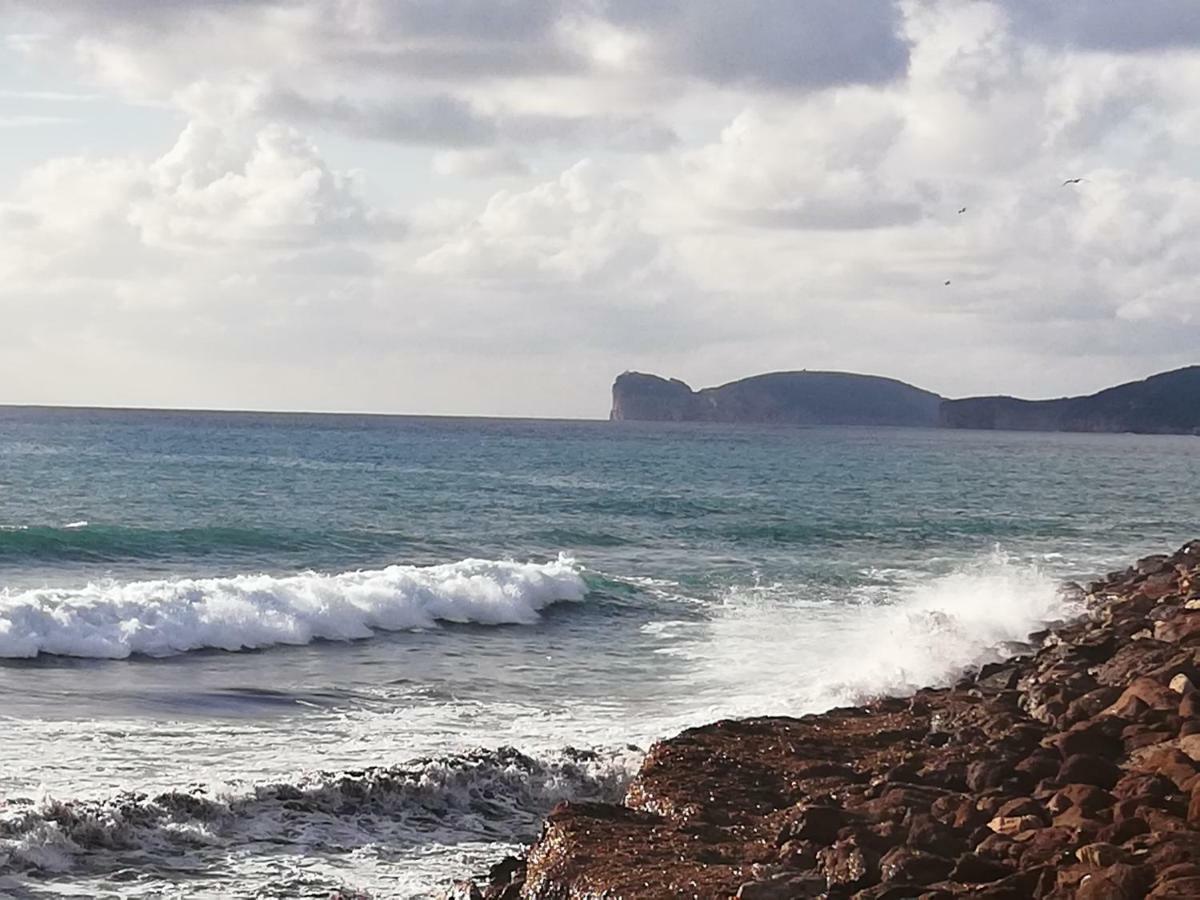 Alghero, Casa Di Roberto المظهر الخارجي الصورة